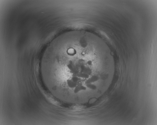 X0000083600495200702091224