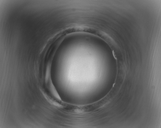 X0000083600496200702091224