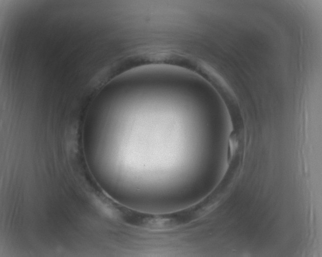 X0000083600497200702091224