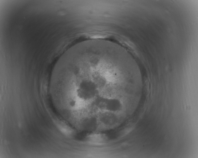 X0000083600499200702091223