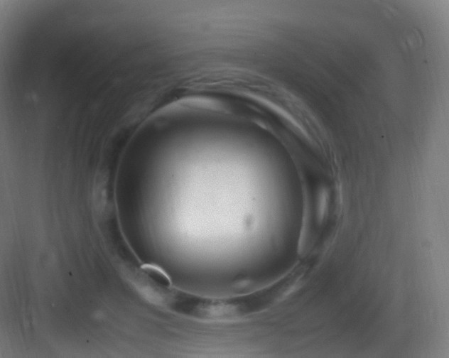 X0000083600501200702091223