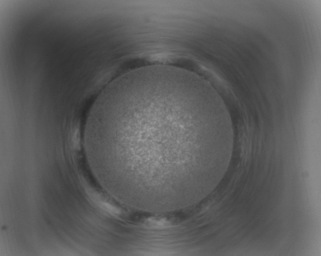 X0000083600502200702091223