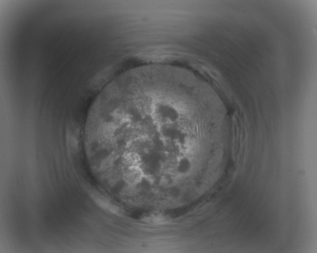 X0000083600503200702091223