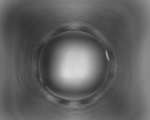 X0000083600505200702091223