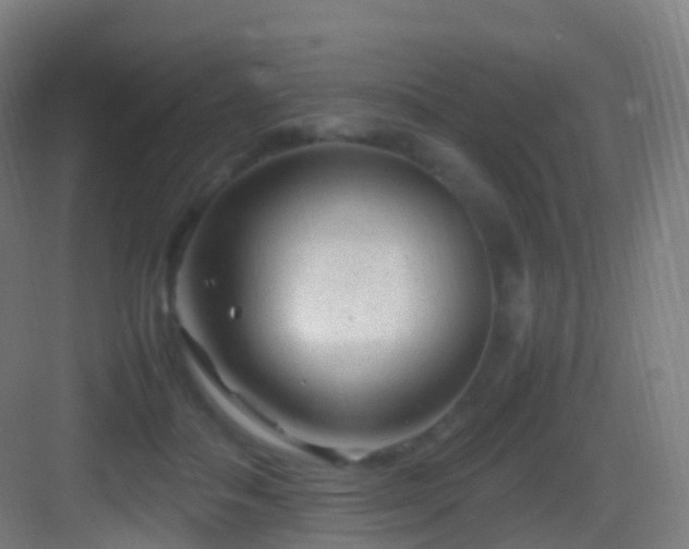 X0000083600506200702091223