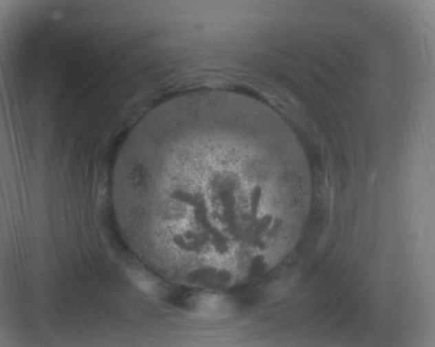 X0000083600507200702091223