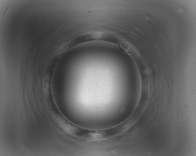 X0000083600509200702091223