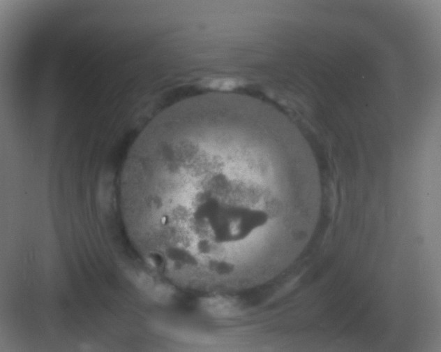 X0000083600511200702091223