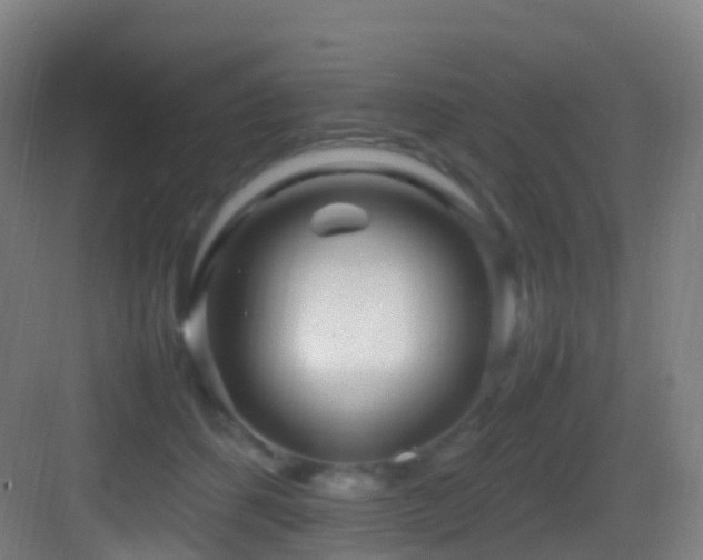 X0000083600512200702091223