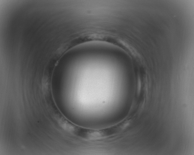 X0000083600513200702091223