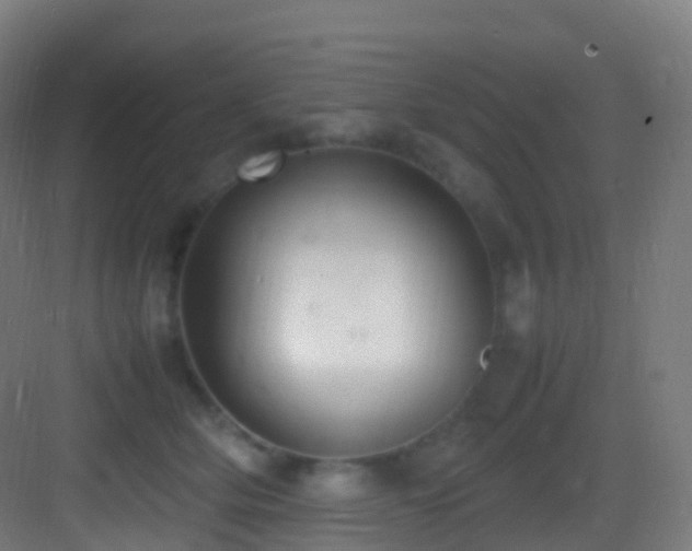 X0000083600514200702091223