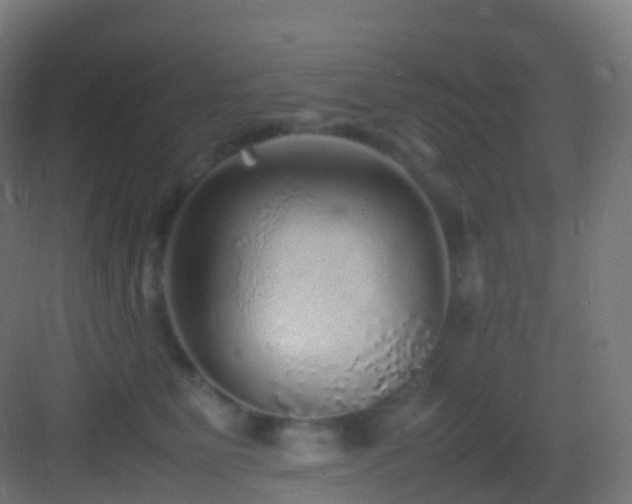 X0000083600515200702091223