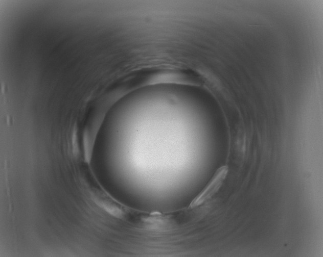 X0000083600516200702091223