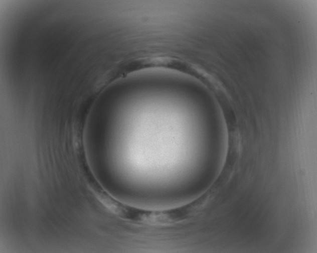 X0000083600517200702091223