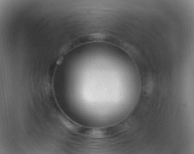 X0000083600518200702091223