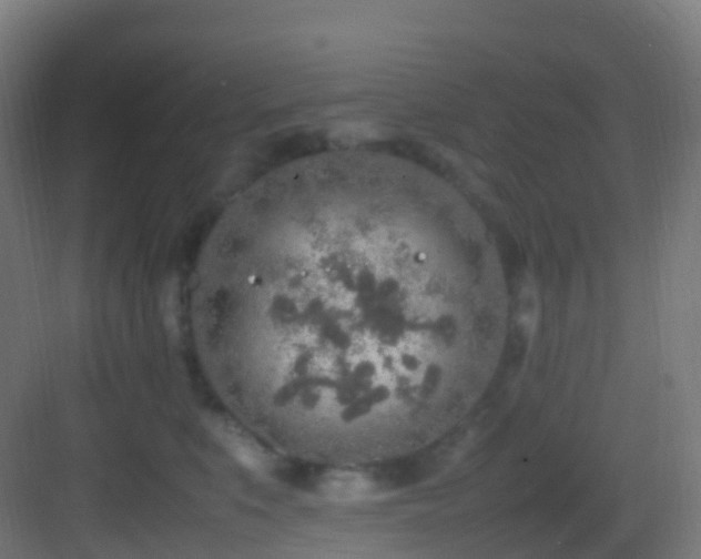 X0000083600519200702091223