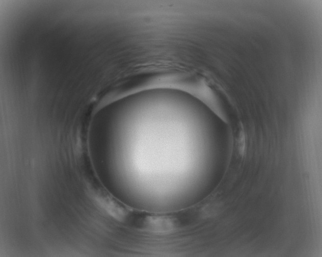 X0000083600520200702091223