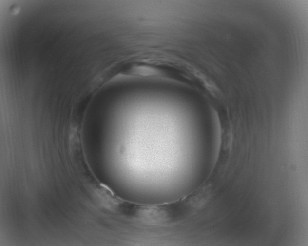 X0000083600521200702091223