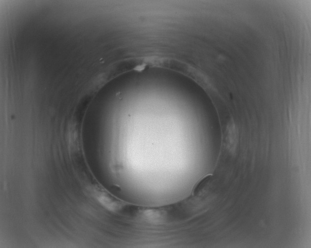 X0000083600522200702091223