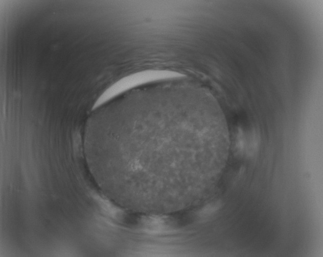 X0000083600523200702091223