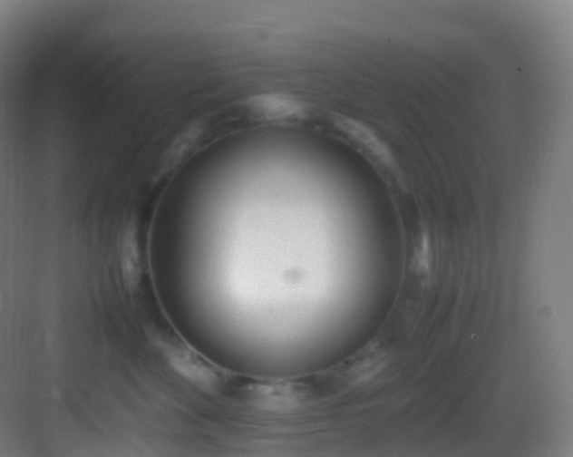 X0000083600524200702091223