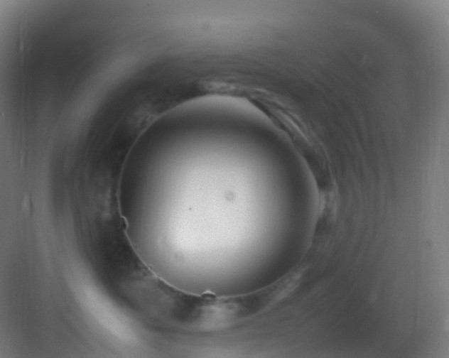 X0000083600525200702091223