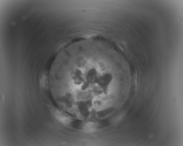 X0000083600527200702091223