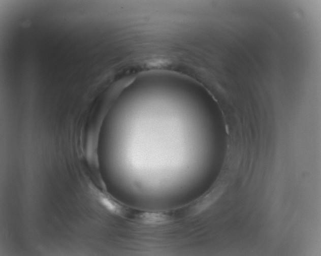 X0000083600528200702091223