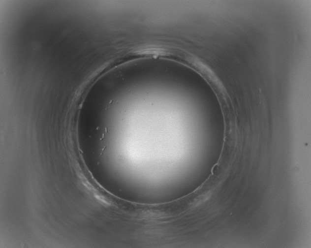 X0000083600529200702091222