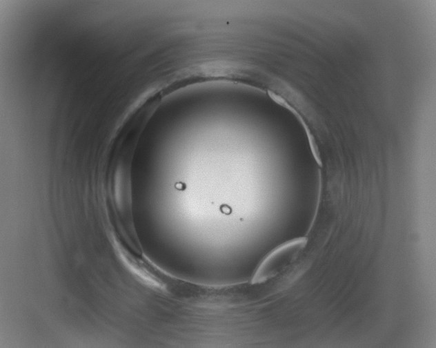 X0000083600530200702091222