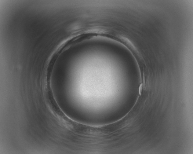 X0000083600531200702091222