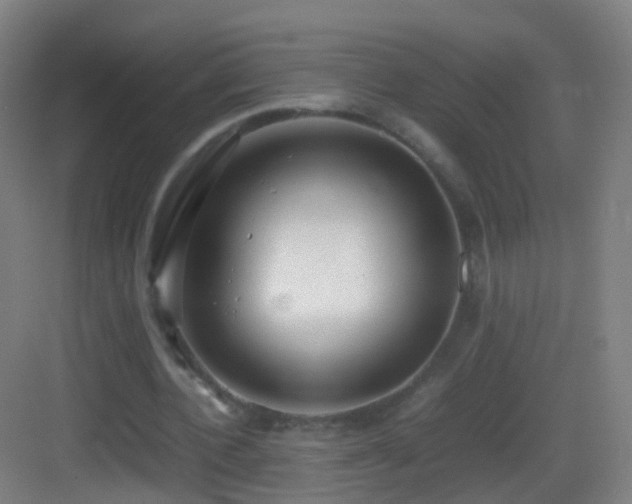 X0000083600532200702091222