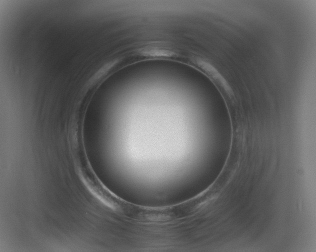 X0000083600533200702091222