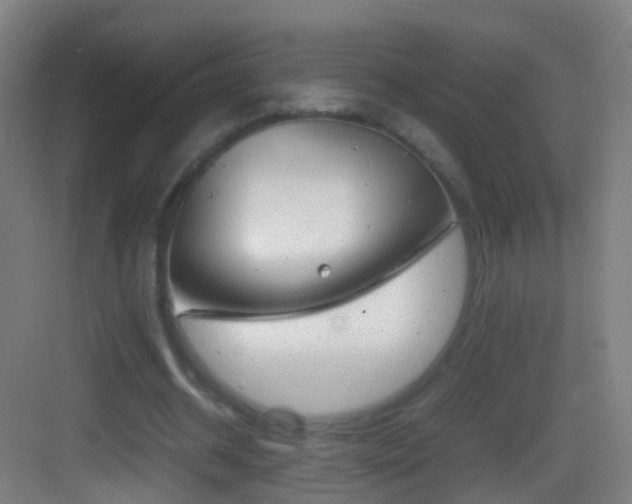 X0000083600534200702091222