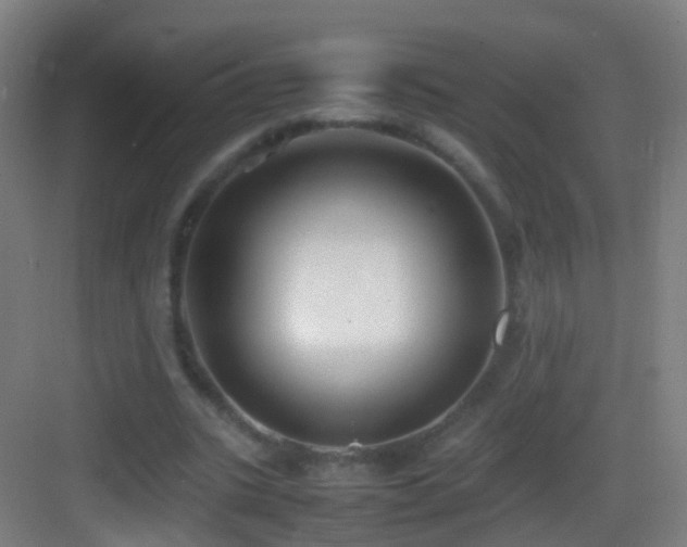 X0000083600535200702091222