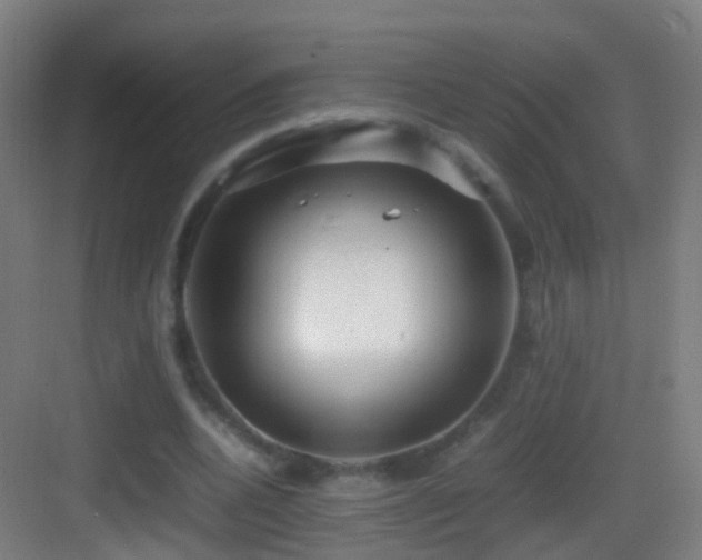 X0000083600536200702091222