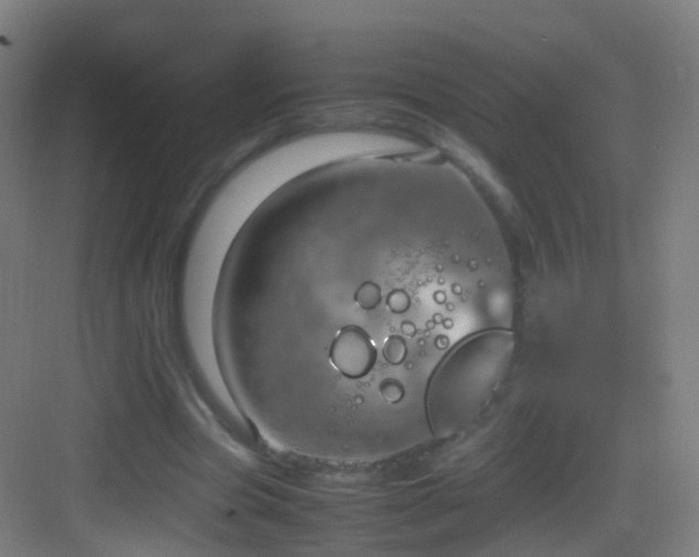 X0000083600537200702091222