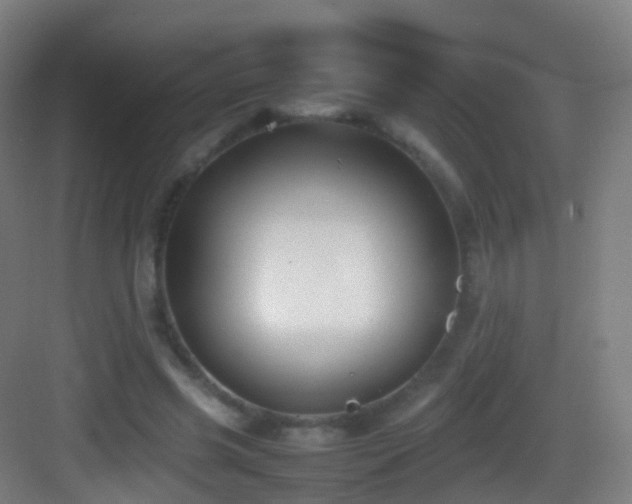 X0000083600541200702091222