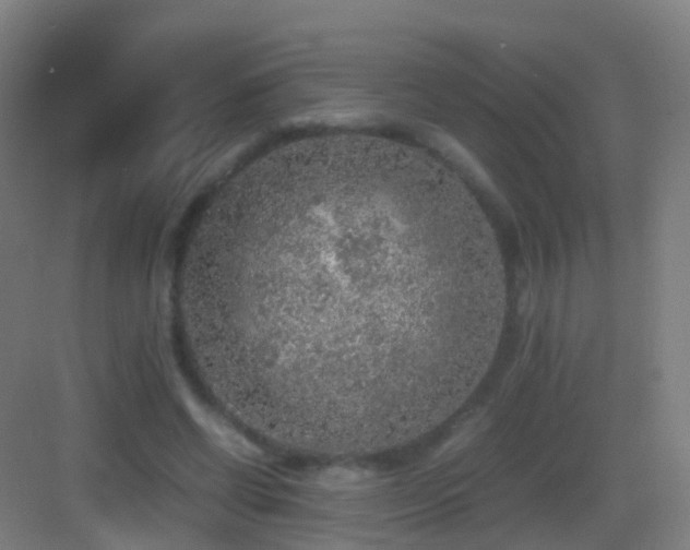 X0000083600542200702091222