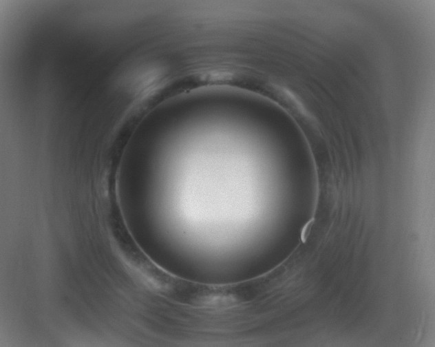 X0000083600543200702091222