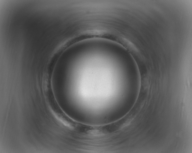 X0000083600544200702091222