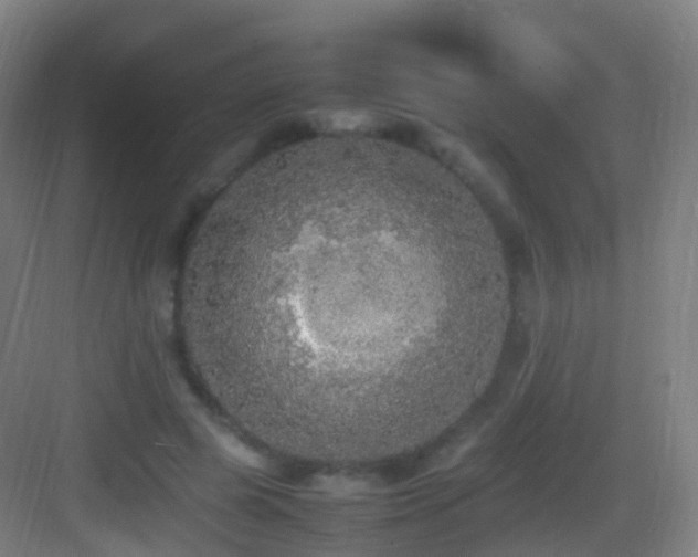 X0000083600545200702091222