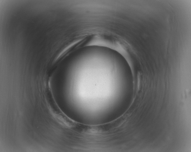 X0000083600546200702091222