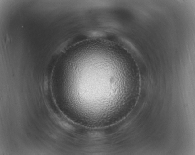 X0000083600549200702091223