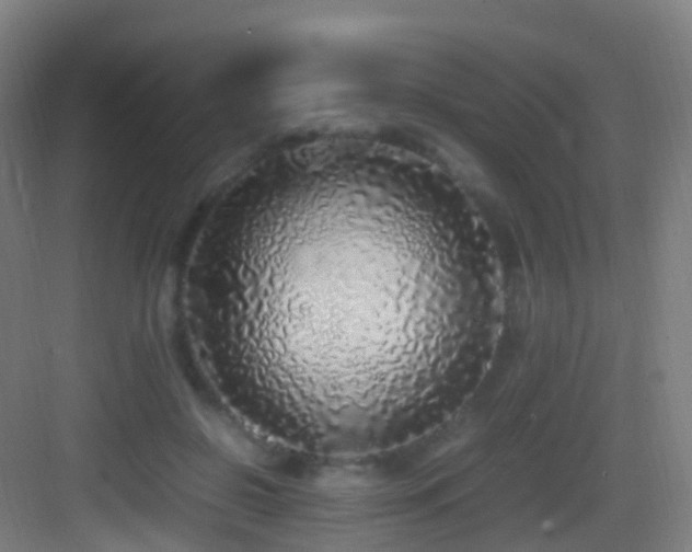 X0000083600550200702091223