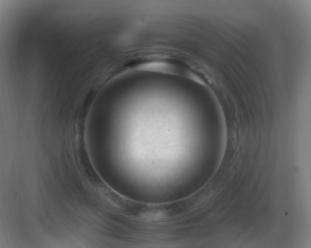 X0000083600551200702091223