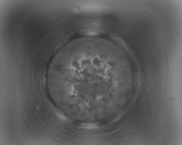 X0000083600553200702091223