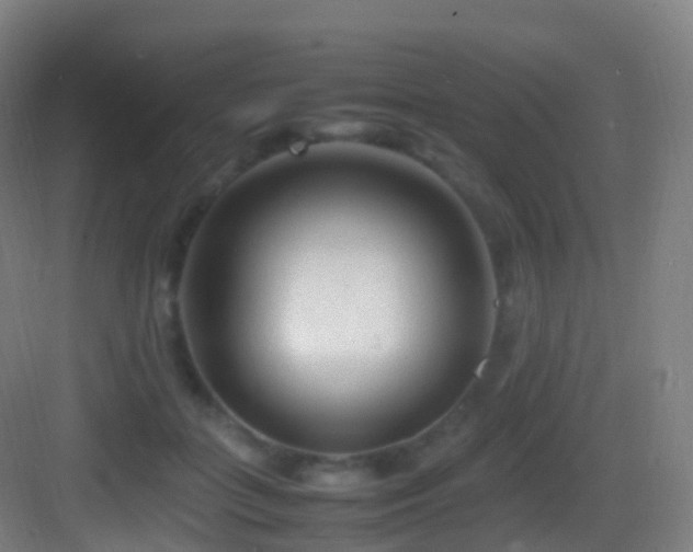 X0000083600555200702091223