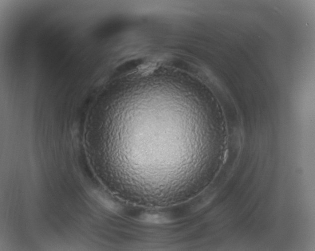 X0000083600557200702091223