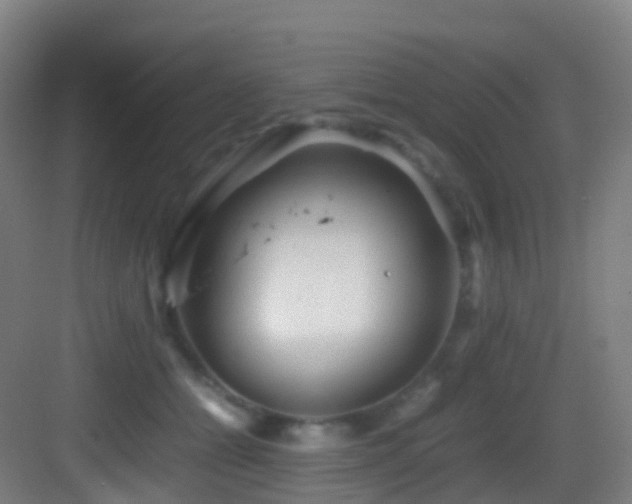 X0000083600558200702091223